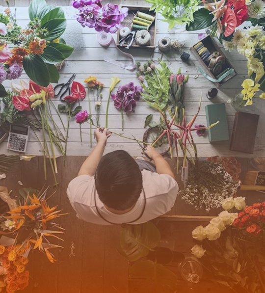 Plant Lover Image